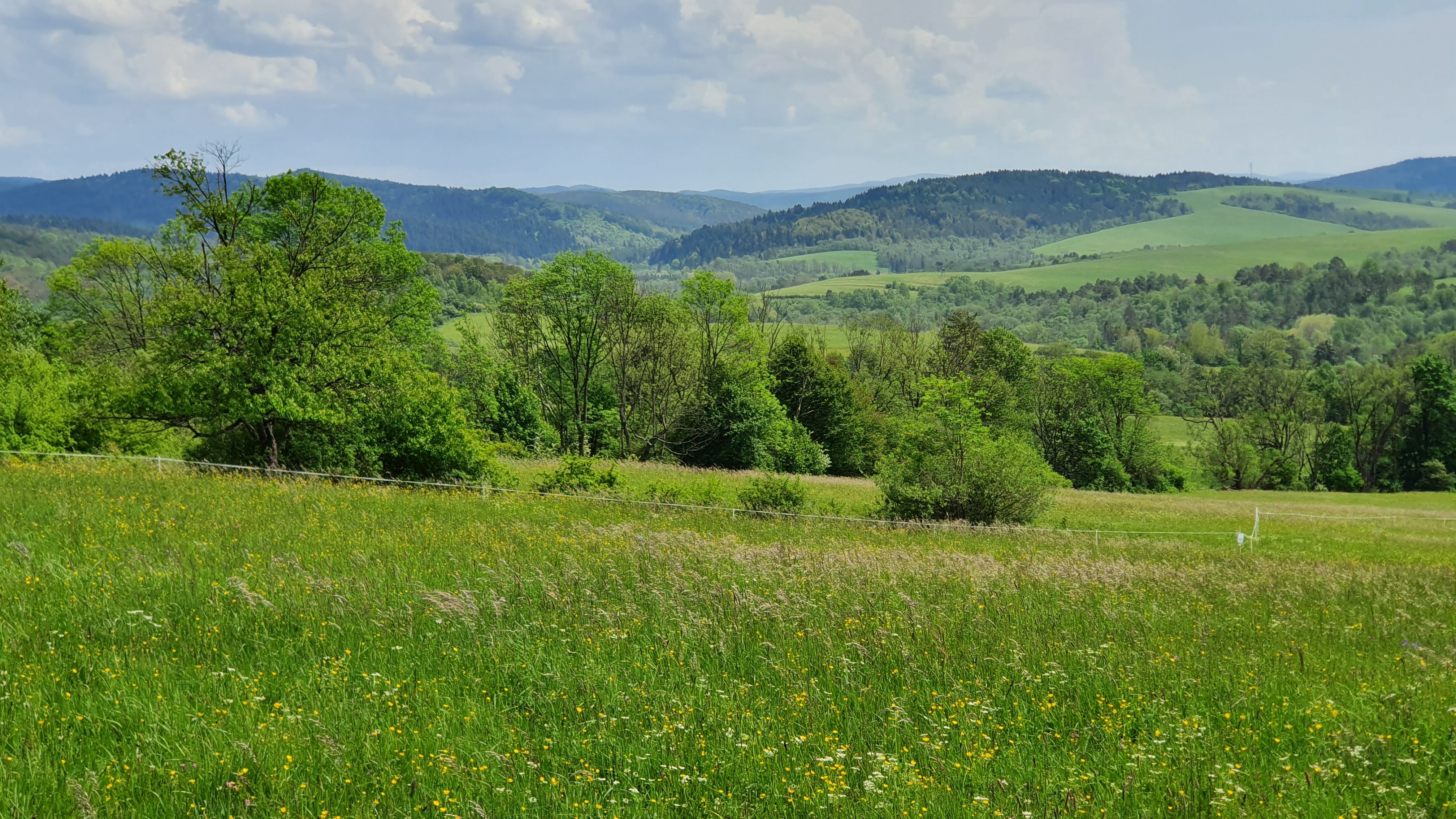12.12.2021 Beskid Niski (archiwum) 